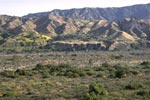 Big Tujunga Wash